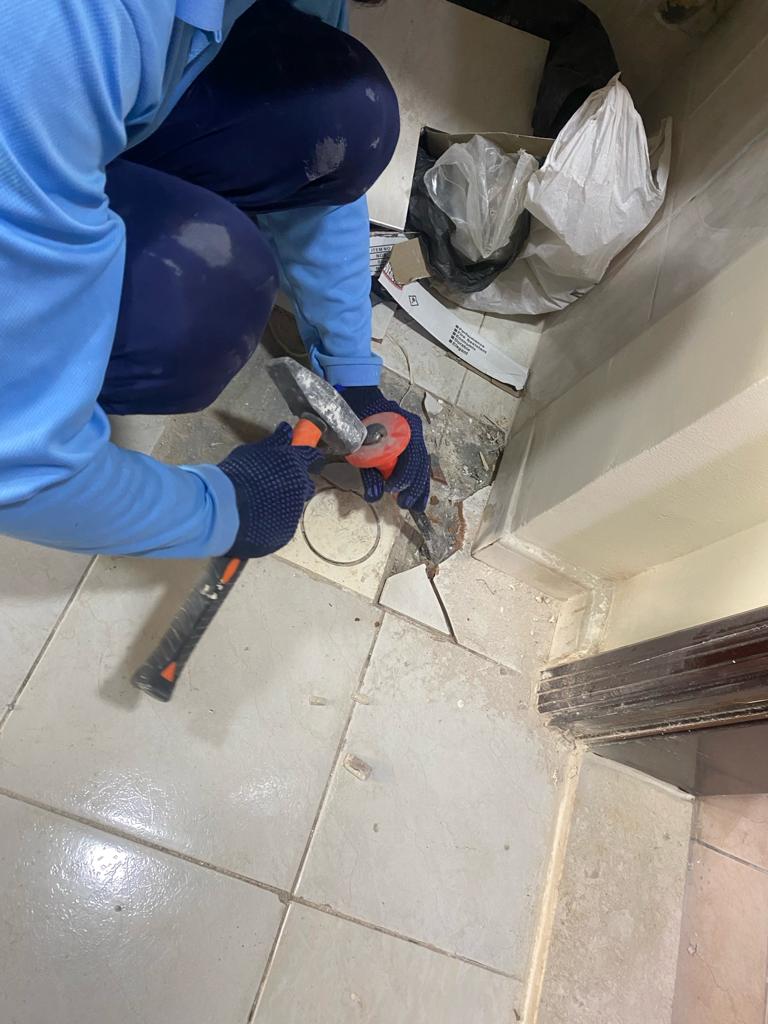 Renovations project 6