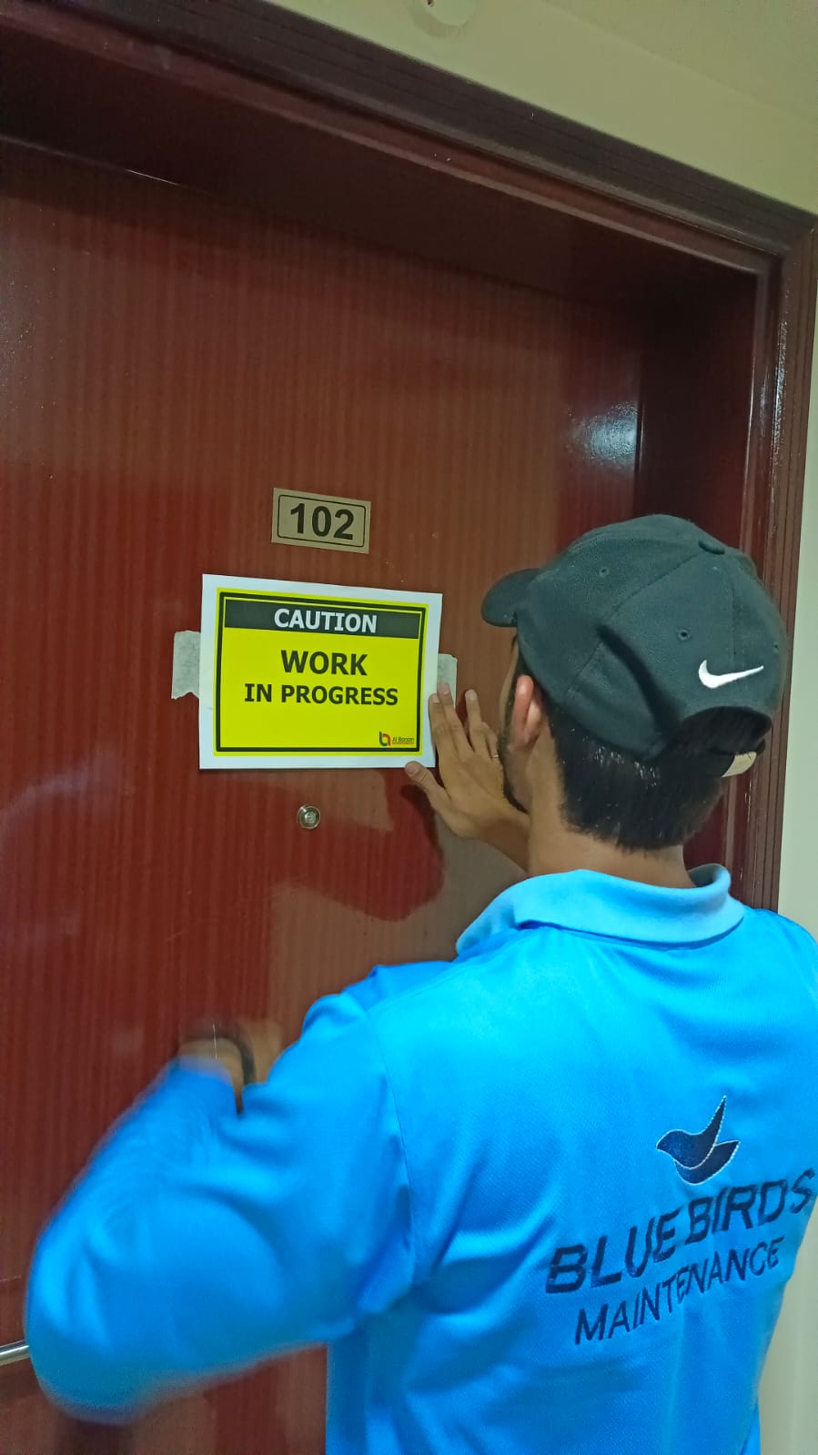 Renovations project 5